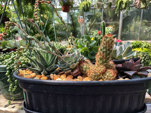 Garden Center «Westminster Nursery & Florist», reviews and photos, 30 Westminster Rd, West Hempstead, NY 11552, USA