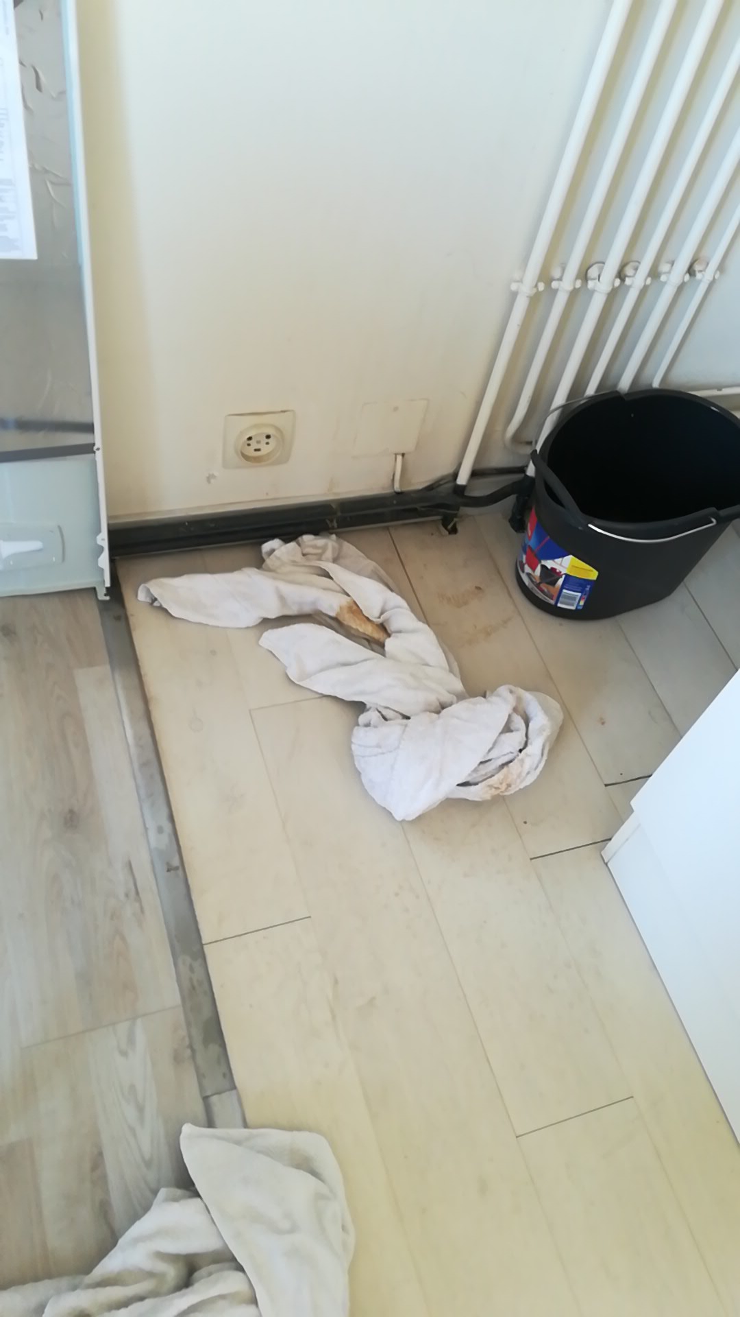 Photo n° 2 de l'avis de Guillaume.r fait le 10/04/2020 à 10:22