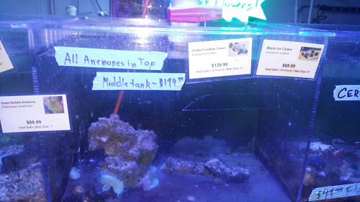 Tropical Fish Store «The Fish Store», reviews and photos, 2050 Chamblee Tucker Rd, Chamblee, GA 30341, USA