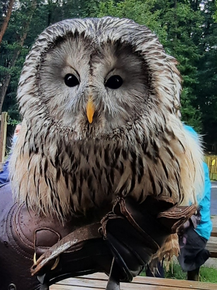 Photo n° 3 de l'avis de Véro.a fait le 11/08/2021 à 15:25