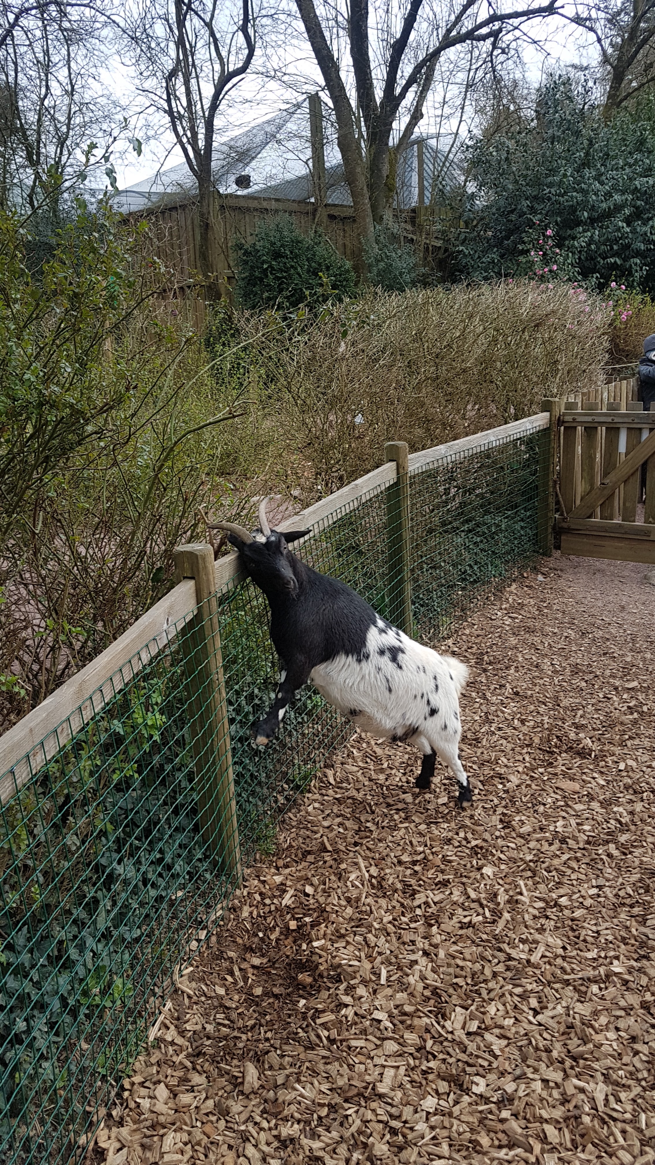 Photo n° 2 de l'avis de PA.A fait le 09/03/2019 à 12:19
