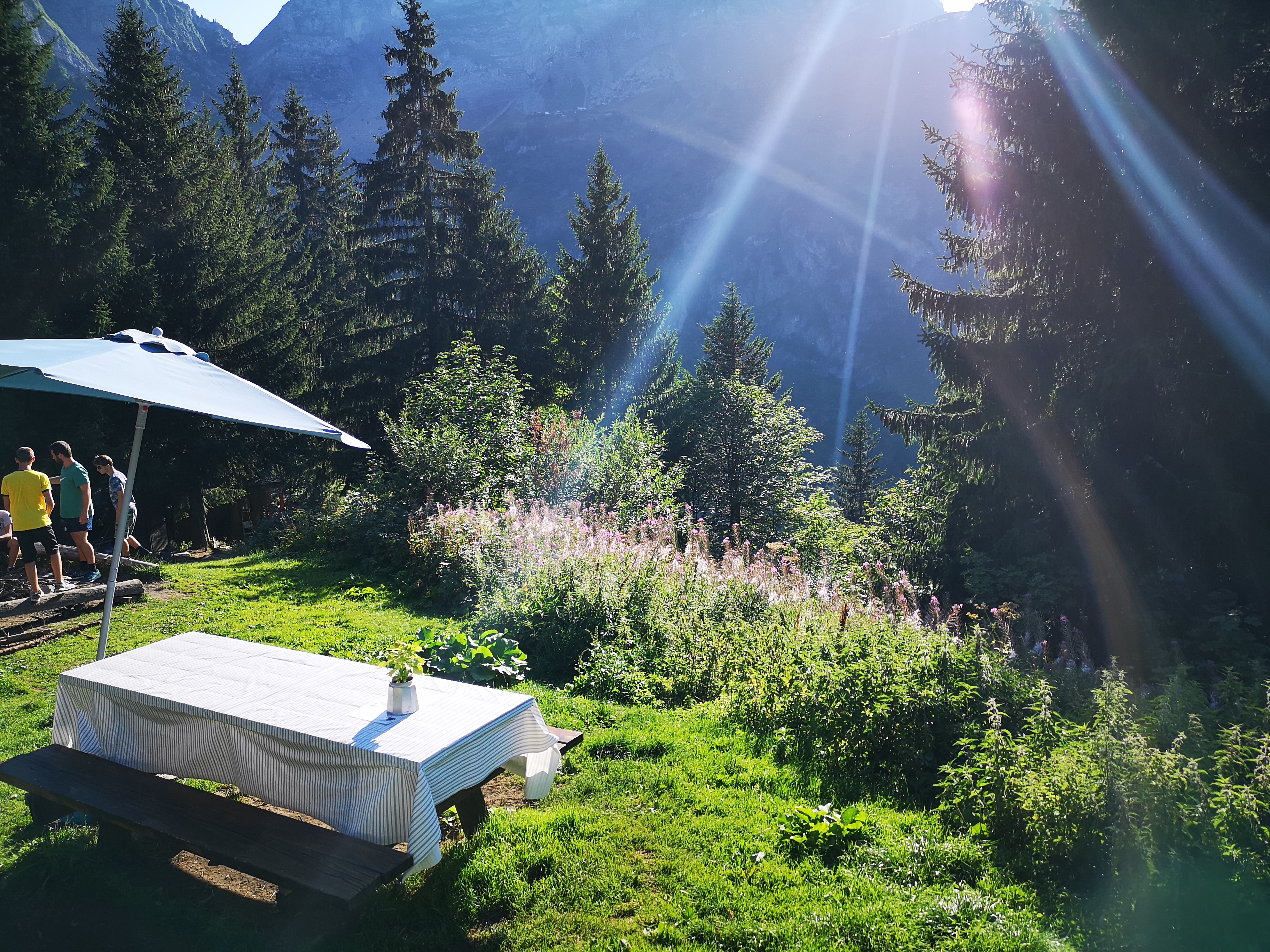 Photo n° 4 de l'avis de Giovanna. fait le 26/08/2019 à 16:07