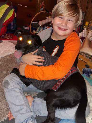 Pet Supply Store «Petco Animal Supplies», reviews and photos, 5631 Grove Blvd, Hoover, AL 35226, USA