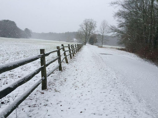 State Park «Borderland State Park», reviews and photos, 259 Massapoag Ave, North Easton, MA 02356, USA