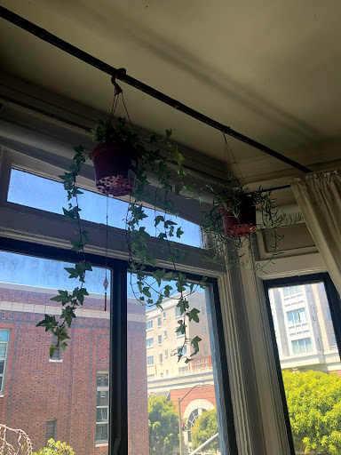 Home Improvement Store «Cole Hardware», reviews and photos, 2254 Polk St, San Francisco, CA 94109, USA