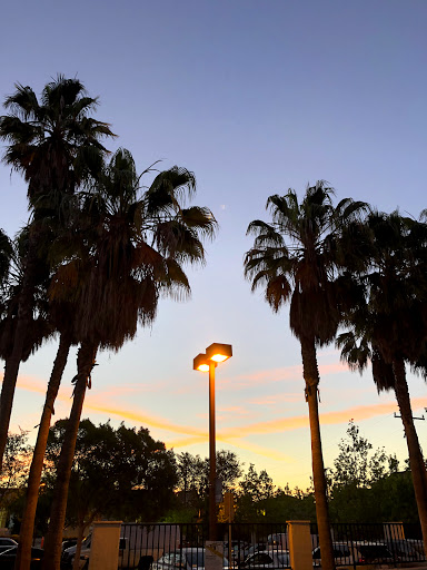 Grocery Store «Vons», reviews and photos, 500 E Manchester Blvd, Inglewood, CA 90301, USA