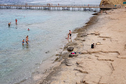 Photo de Solymar Reef Marsa avec un niveau de propreté de très propre
