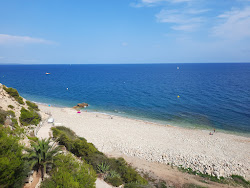 Photo de Cala el Reguerot avec un niveau de propreté de très propre