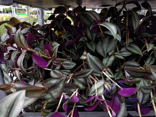 Home Improvement Store «The Home Depot», reviews and photos, 4385 Commons Dr W, Destin, FL 32541, USA