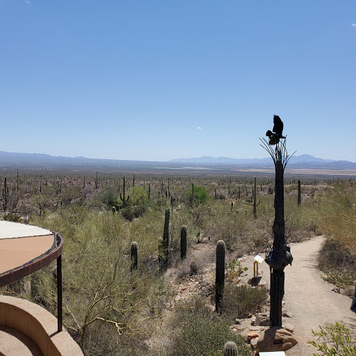 Natural History Museum «Arizona-Sonora Desert Museum», reviews and photos, 2021 N Kinney Rd, Tucson, AZ 85743, USA