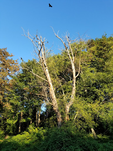 Conference Center «Des Moines Beach Park Auditorium», reviews and photos, 22030 Cliff Ave S, Des Moines, WA 98198, USA