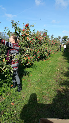 Mille et Une Pommes à Annœullin