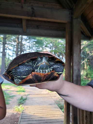 Park «Guilford Park», reviews and photos, 9900 Guilford Rd, Jessup, MD 20794, USA