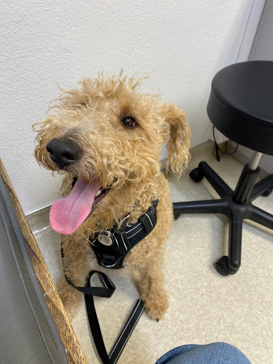 Montecito Veterinary Center image