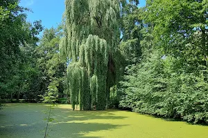 Bürger Park image