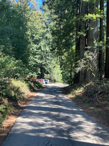 Nature Preserve «LandPaths Grove of Old Trees», reviews and photos, 17599 Fitzpatrick Ln, Occidental, CA 95465, USA