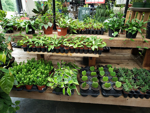 Family Tree Nursery