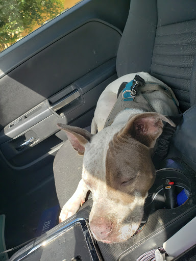 Pet Supply Store «PetSmart», reviews and photos, 8660 Airline Hwy, Baton Rouge, LA 70815, USA