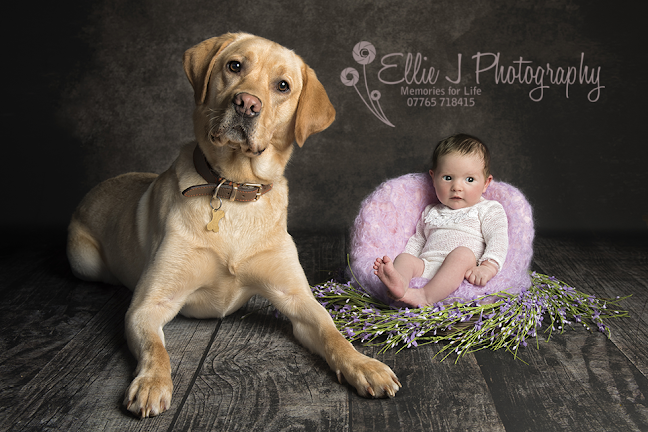 Ellie J Newborn & Family Photography - Photography studio
