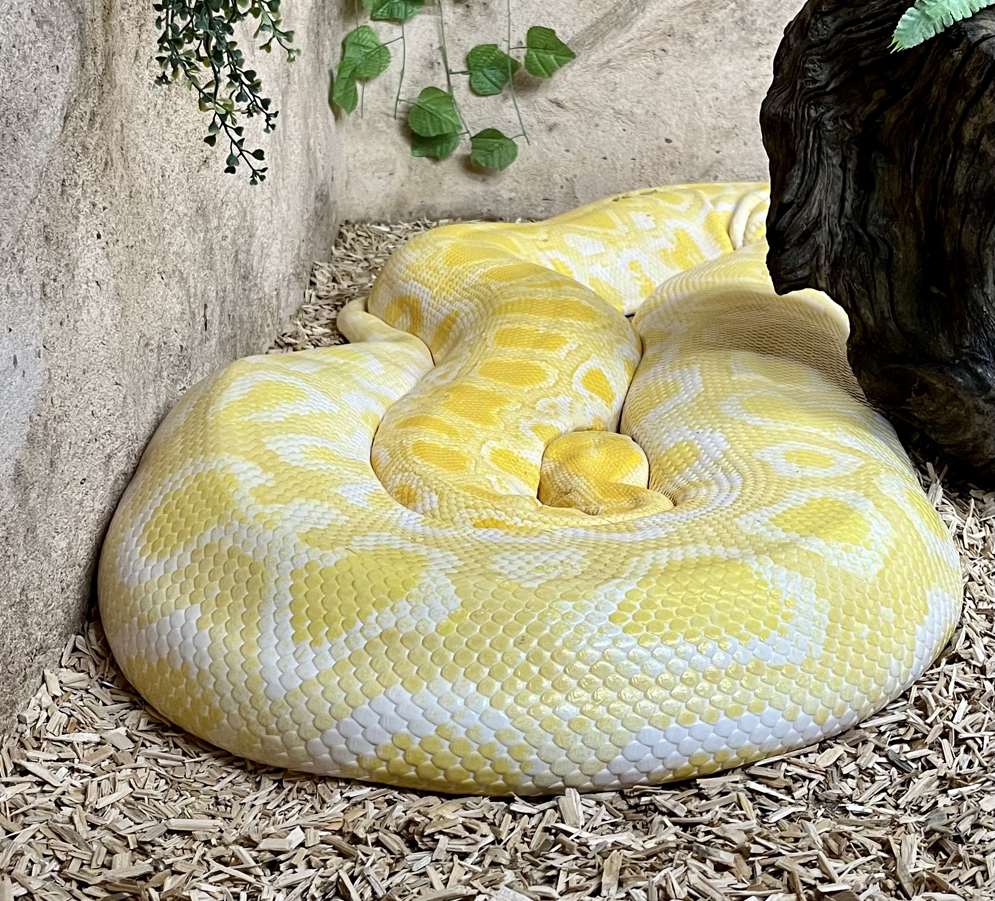 Photo n° 2 de l'avis de Elisa.i fait le 04/11/2023 à 18:33