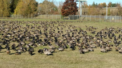 Oregon Department Of Agriculture