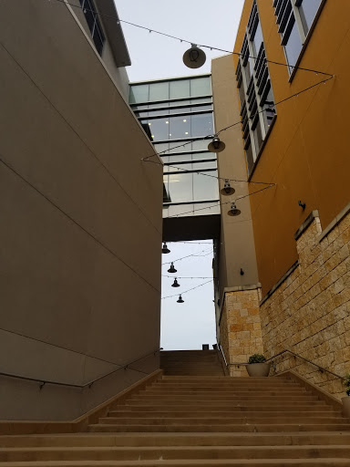 Department Store «Nordstrom Rack The Shops at Park Lane», reviews and photos, 8050 Park Lane North, Dallas, TX 75231, USA