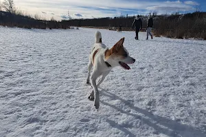 Riverdale Off Leash Dog Park image