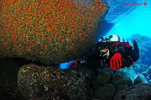 Sea Diver image