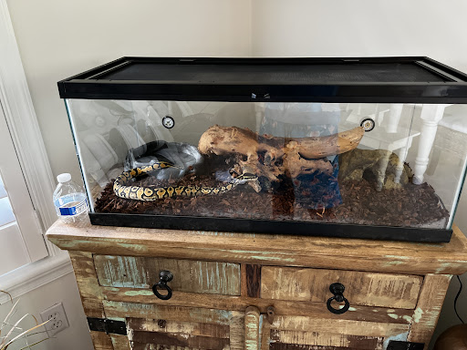 Pet Supply Store «Living Things», reviews and photos, 3437 PA-309, Orefield, PA 18069, USA