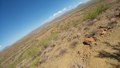 Nature Preserve «Phoenix Sonoran Preserve», reviews and photos, 1900 W Desert Vista Trail, Phoenix, AZ 85085, USA