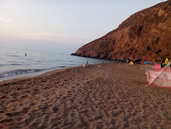 Plage Hafer Djmel'in fotoğrafı vahşi alan