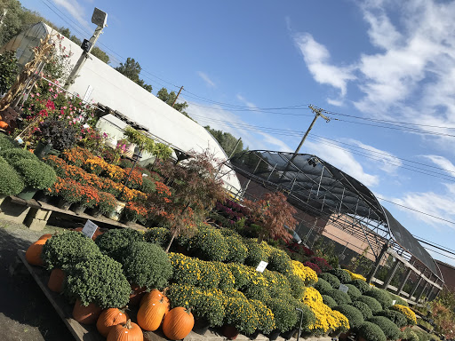 Sweetbrook Wholesale Nursery Garden Center image 3