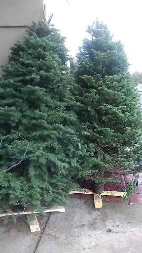 Supermarket «Save Mart Supermarkets», reviews and photos, 1591 E Noble Ave, Visalia, CA 93292, USA