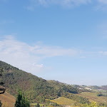 Photo n°1 de l'avis de Donatella. fait le 23/10/2020 à 07:18 sur le  Trattoria Quaglini à Borgo Priolo