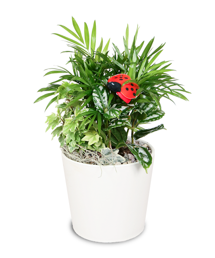 Florist «Stadium Flowers», reviews and photos, 3632 Broadway, Everett, WA 98201, USA