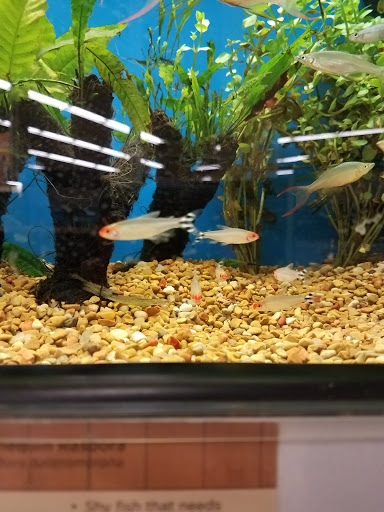 Pet Supply Store «Petco Animal Supplies», reviews and photos, 545 W Prien Lake Rd, Lake Charles, LA 70601, USA