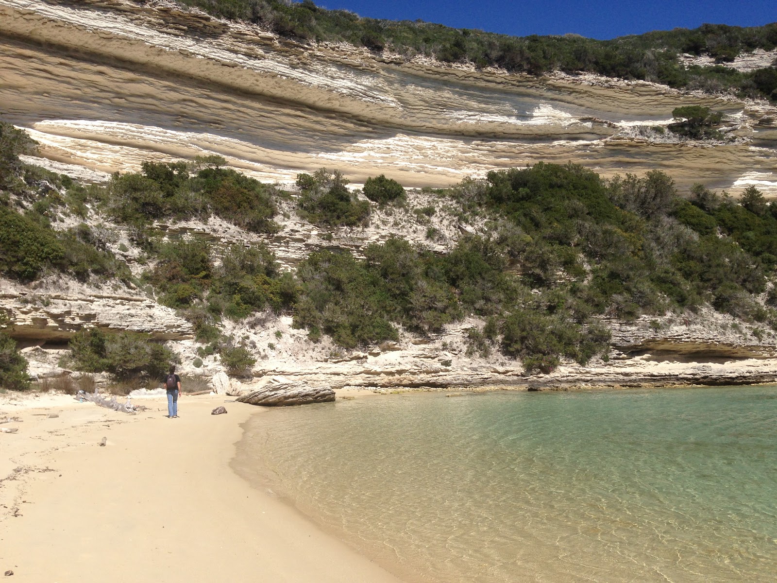 Fotografija Plage de l'Arinella z visok stopnjo čistoče