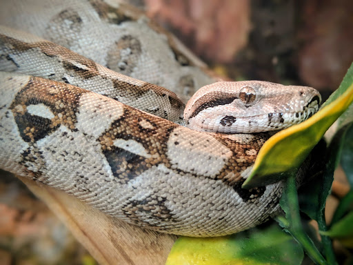 Pet Supply Store «Buckles Feed Depot & Pet Supply», reviews and photos, 220 S 4th St, Lafayette, IN 47901, USA
