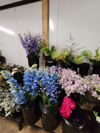 Florist «In Bloom Florist- Orlando, Florida», reviews and photos, 325 W Gore St, Orlando, FL 32806, USA