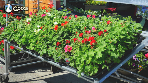 Grocery Store «The Goose», reviews and photos, 14485 WA-525, Langley, WA 98260, USA