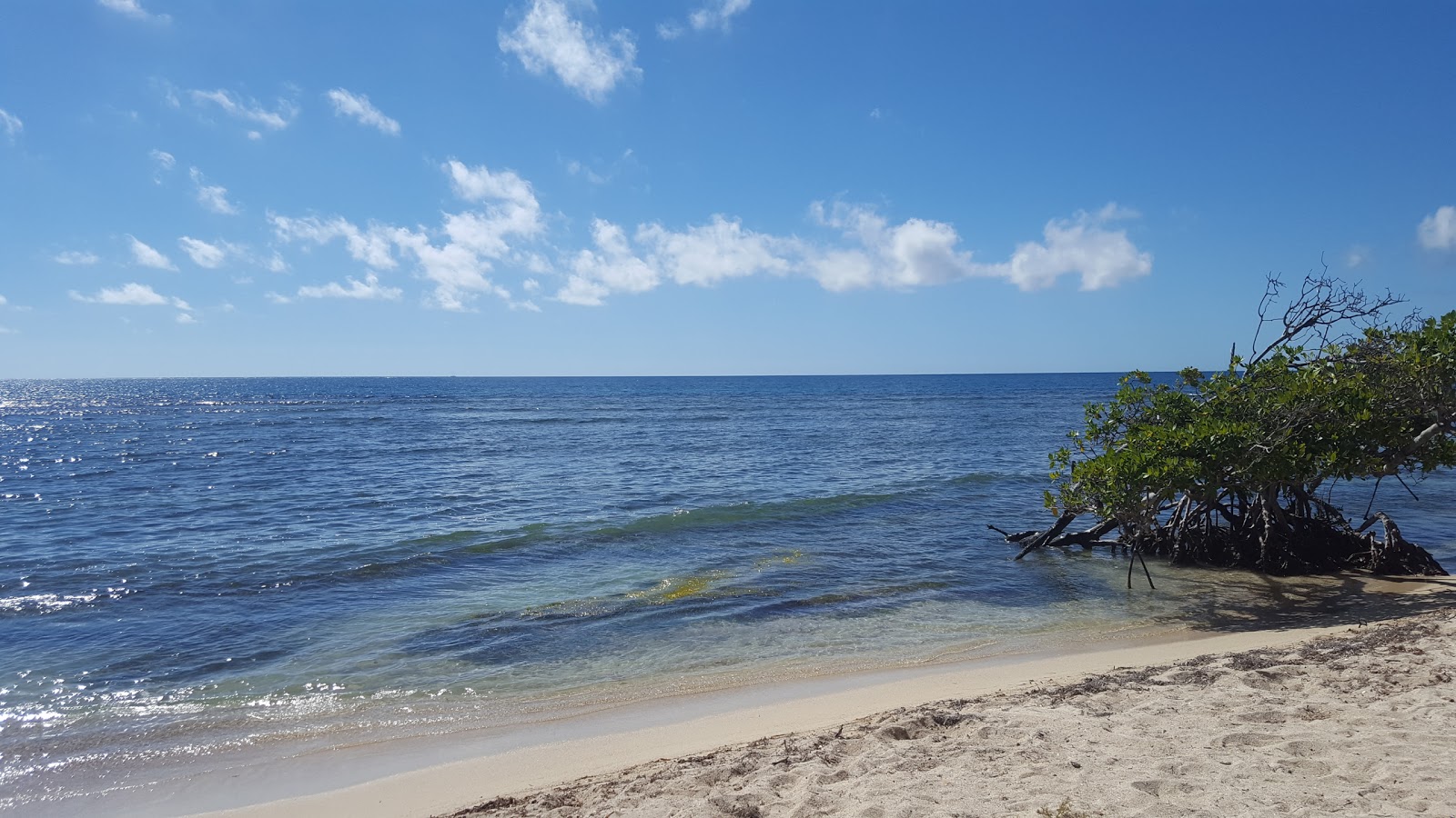 Foto von Playa Los Congres mit beiger sand Oberfläche