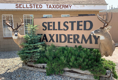 Sellsted Taxidermy