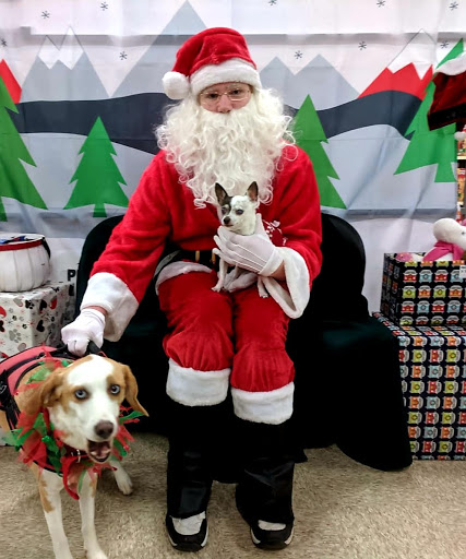 Pet Supply Store «PetSmart», reviews and photos, 3335 Cobb Pkwy NW #400, Acworth, GA 30101, USA