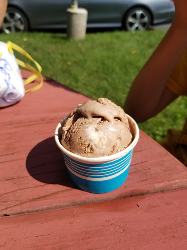 Bluebird Homemade Ice Cream image 1