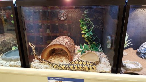 Pet Supply Store «PetSmart», reviews and photos, 7616 Denton Hwy #532, Watauga, TX 76148, USA