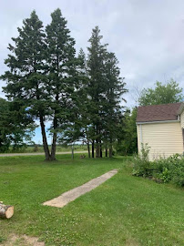 Stangls Stumps, LLC - Photo 5 - Car repair in , St. Cloud