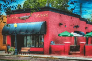 Tarpon Tavern image