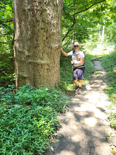 Nature Preserve «Shaw Nature Reserve», reviews and photos, 307 Pinetum Loop Rd, Gray Summit, MO 63039, USA