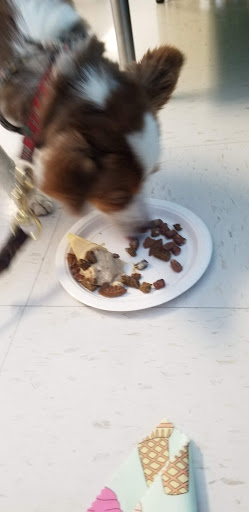 Pet Supply Store «Natural Pet Center», reviews and photos, 3037 13th Ave S, Fargo, ND 58103, USA