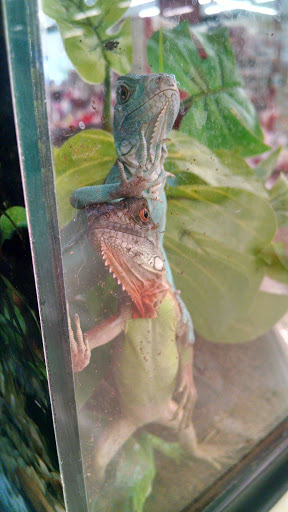 Pet Supply Store «Petco Animal Supplies», reviews and photos, 1049 S Willow St, Manchester, NH 03103, USA